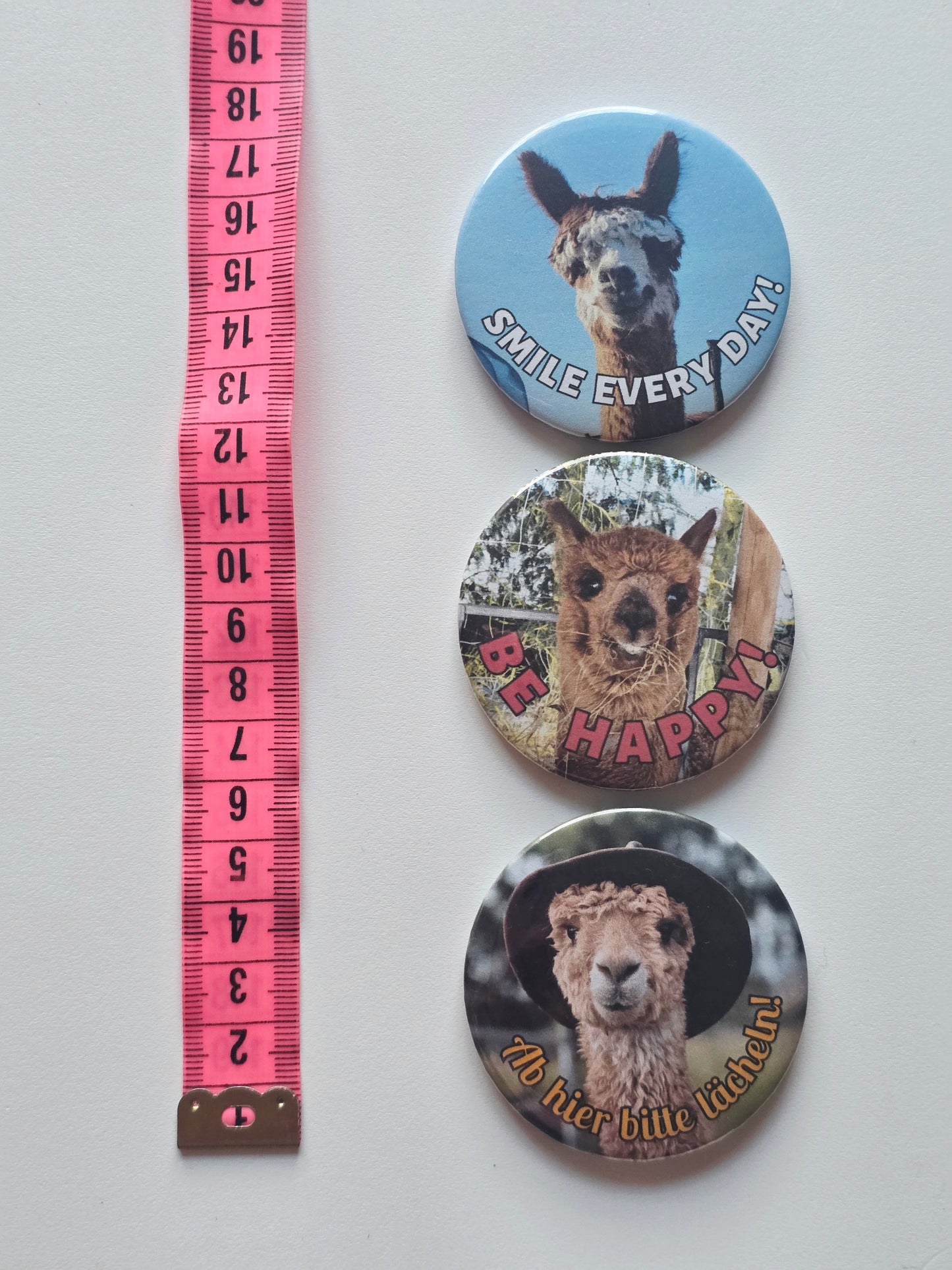 XL Magnete *Alpakas* 3 Stück