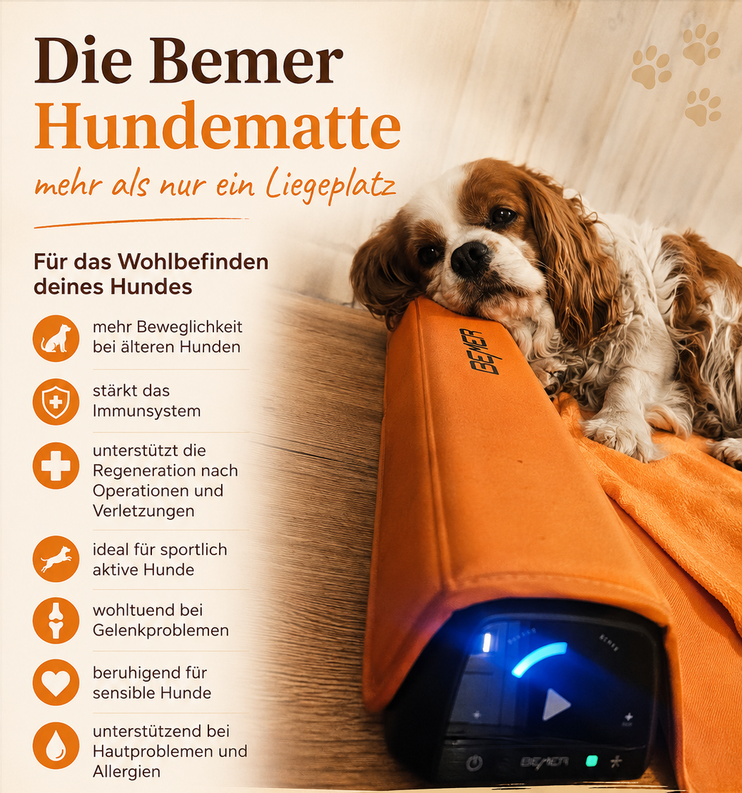 BEMER-Matte für Hunde: Weil es so weh tut, wenn unser treuester Freund leidet